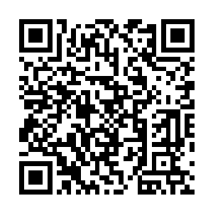 到时候所有的妖王和圣使肯定都会在第一时间冲进血门内二维码生成