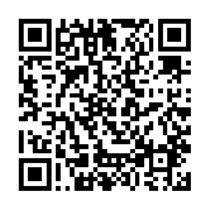 前世师父安排的琴棋书画课程哪个不是被她睡过去了二维码生成