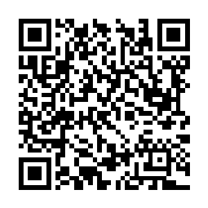 前后陆续存储满了上千只储物镯量的燕北虹收手了二维码生成