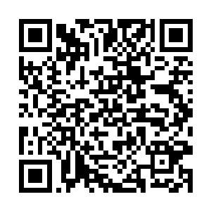 前段时间魂墓古城的内部出现了一股巨大的空间波动二维码生成