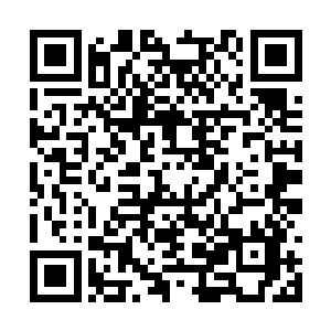 前者打造的兵器替他们抵挡了好多次怪物们的进攻二维码生成