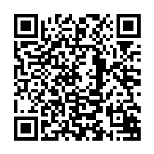 前辈也不妨多让……沈道友要不要晚去师娘房谈谈人生和理想二维码生成