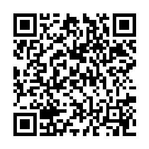 劳尔・冈萨雷斯也没有拿出什么行之有效的办法来二维码生成