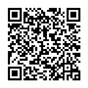 化形之后的妖修修为等级怎么算张潇晗一直没有弄清楚二维码生成