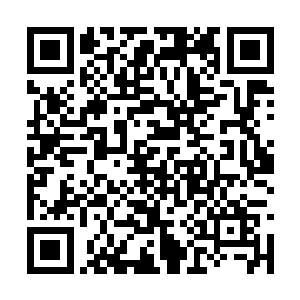 北京风声画廊的老徐答应会把你的那幅画经营拍卖二维码生成