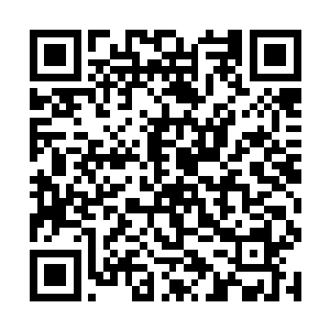 北冥家主也被苏凡这淡淡的几个字说的一时间顿住了二维码生成