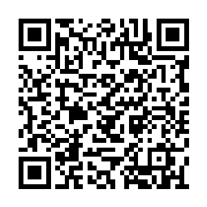 北境本族人与任琦宁重用的中原人直接素来不和二维码生成