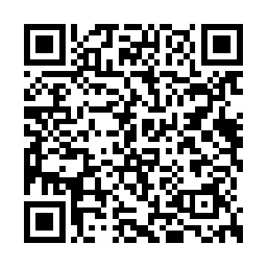 区区一个苍茫界界主竟然在他们两人的夹击之下二维码生成