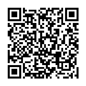 区区苍茫界界主竟然敢拿剑指着金辰界第二大势力的掌教二维码生成