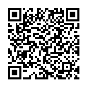 十只利齿鼠可以兑换一刻灵石……凡人拿利齿鼠没办法二维码生成