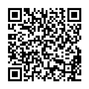 十多分钟之后几个人来到这里之后发现门口的人都排起了长队二维码生成