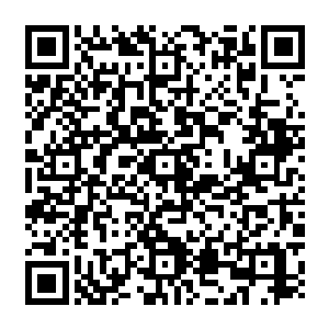 十届全国人大四次会议表决通过了关于国民经济和社会发展第十一个五年规划纲要的决议二维码生成