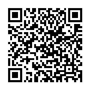 南明雨燕以及巨象仙宗的几大老祖重新回到了巨象仙宗的宗门内二维码生成