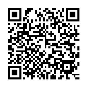 即使对往返于柏林与汉堡的磁悬浮列车乘客数量最乐观的估计二维码生成