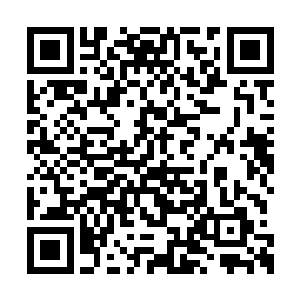 即便是涂镇海在平时也不会去挑战孟凡英的权威二维码生成
