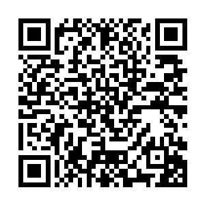 即便面对武英奇或者伏羲或者吕轻尘发动最强攻击时二维码生成