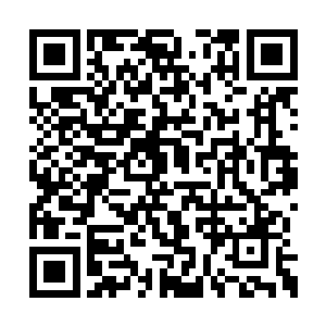 却也不会把自己心里的那一点点的羡慕表现出来二维码生成