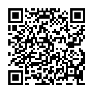 却发现刚才安映筠在介绍众人的时候并没有说她二维码生成