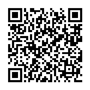 却发现自己压根没办法把自己的手从他的手中抽出二维码生成