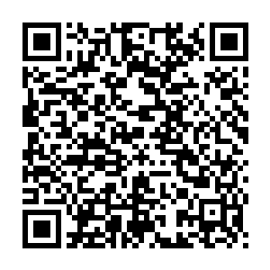 原本他和白石和马打定的主意是一定要趁这个机会好好的压洪大力一头二维码生成