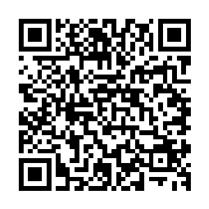 原本几乎全部聚集过来的魔植们还没来得及为七王的死亡悲伤二维码生成
