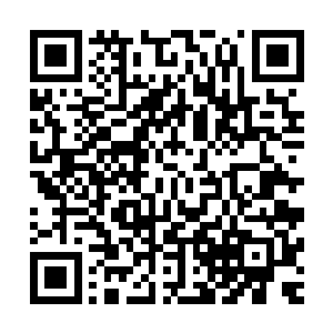 原本听到林烽的话还带着几分激动的人听到林烽这么一说以后二维码生成