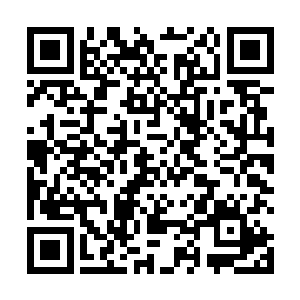原本安静不动的尸体这个时候忽然发出了狰狞的吼叫声二维码生成