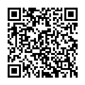 原本就是木质结构的堂屋门被一掌直接的拍碎了二维码生成