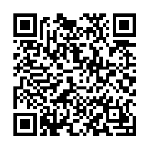 原本清澈无活物的河里面不知什么时候钻出来无数条鱼二维码生成