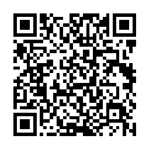 原本用来记录梦境的笔记本上画满了密密麻麻的人物二维码生成