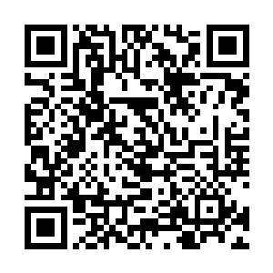 去帮夜未央和赵默雪杀掉那个他们仇恨已久的a级罪犯了二维码生成