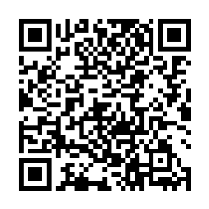 参赛的名单也只有孤家主买通了琴瑟山谷的侍卫而拿到二维码生成