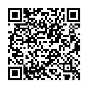 又不像风脸皮那么厚能顶住他们族长的杀人的目光让凌菲弄吃的二维码生成