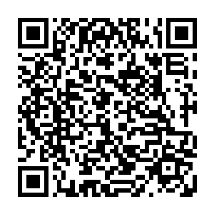 又变回了那个风华绝代的倾世美人儿了……樱花这样堂而皇之的出现在外面二维码生成