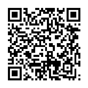 又痛醒无数次的鼍洁却依旧紧咬着牙不肯解开术法二维码生成