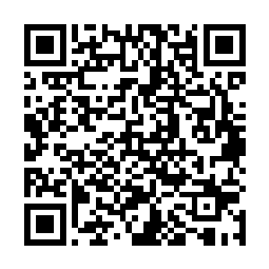双方在多达二十七条协议条款的权利义务上进行了磋商二维码生成