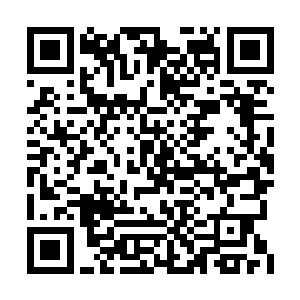 双方的法律顾问也认真的对协议逐条进行了论证二维码生成
