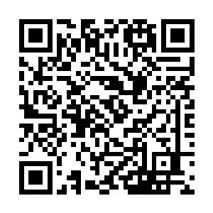 双方要正式开始商谈五行吾素这张新专辑的制作合同二维码生成