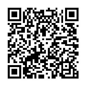 双眼都下意识的闭上了……似乎已经在闭目等死了二维码生成