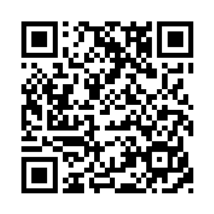 反倒是吸引了易红仙人和流墨墨他们的注意力二维码生成