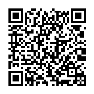 反正五方天帝已经愿意将无疆海地界划给垂天之叶二维码生成