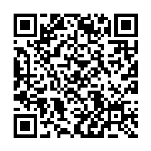 反而使得林锐等人的O2小队得到了一定程度的缓解二维码生成