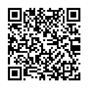 反贼头目海渊客和东华总镇府总镇大人碧月的女儿二维码生成