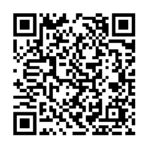 发现盆地内竟匍匐着大大小小数不清的狰狞冥螳螂二维码生成