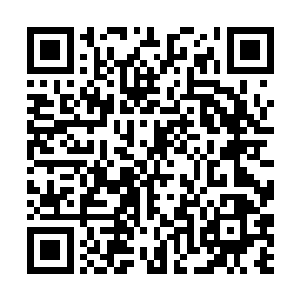 发现黑杰克竟然将几十条淡金色的触须缠绕在手臂上二维码生成