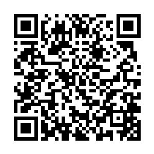 古德里安和莱因哈特则由食堂的主厨亲自在一旁伺候二维码生成