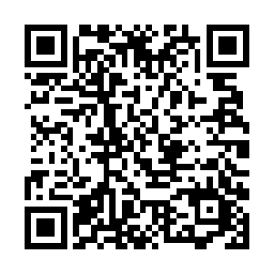 另一只血鸟在飞行过一片树林的时候正遇到一道剑魂二维码生成