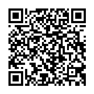 另外还有人在疤脸和艾娃的指挥下快速把需要用到的药品装箱二维码生成