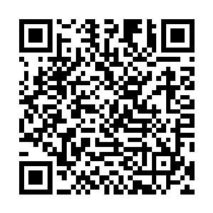 只不过他仅是嫡传亲传弟子之外十多位记名徒弟之一而已二维码生成