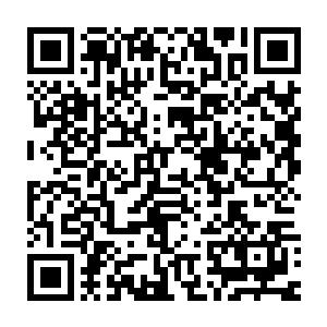 只不过如今楚京被围困消息闭塞楚京里的众人才完全没有收到消息罢了二维码生成
